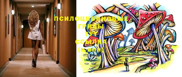 ешки Инсар