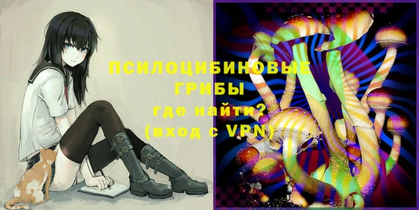 ешки Инсар
