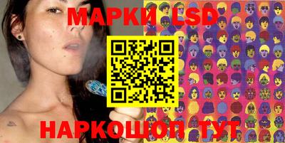 крисы Камышлов
