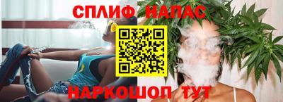крисы Камышлов