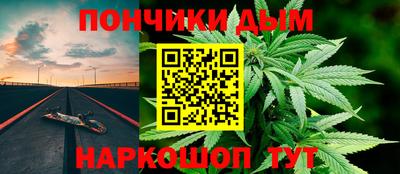крисы Камышлов