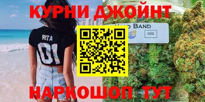 крисы Камышлов