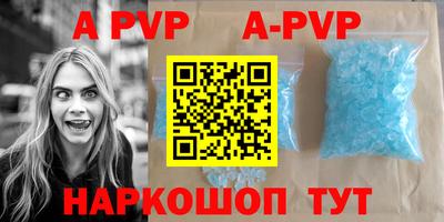 крисы Камышлов