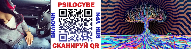 Псилоцибиновые грибы Psilocybe  где купить наркотик  Конаково 