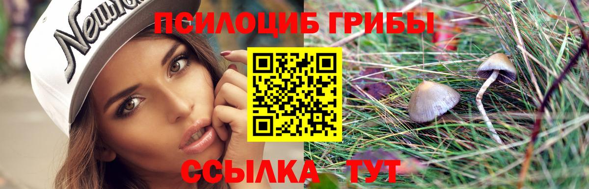 Конаково  Псилоцибиновые грибы прущие грибы  Вход с VPN 